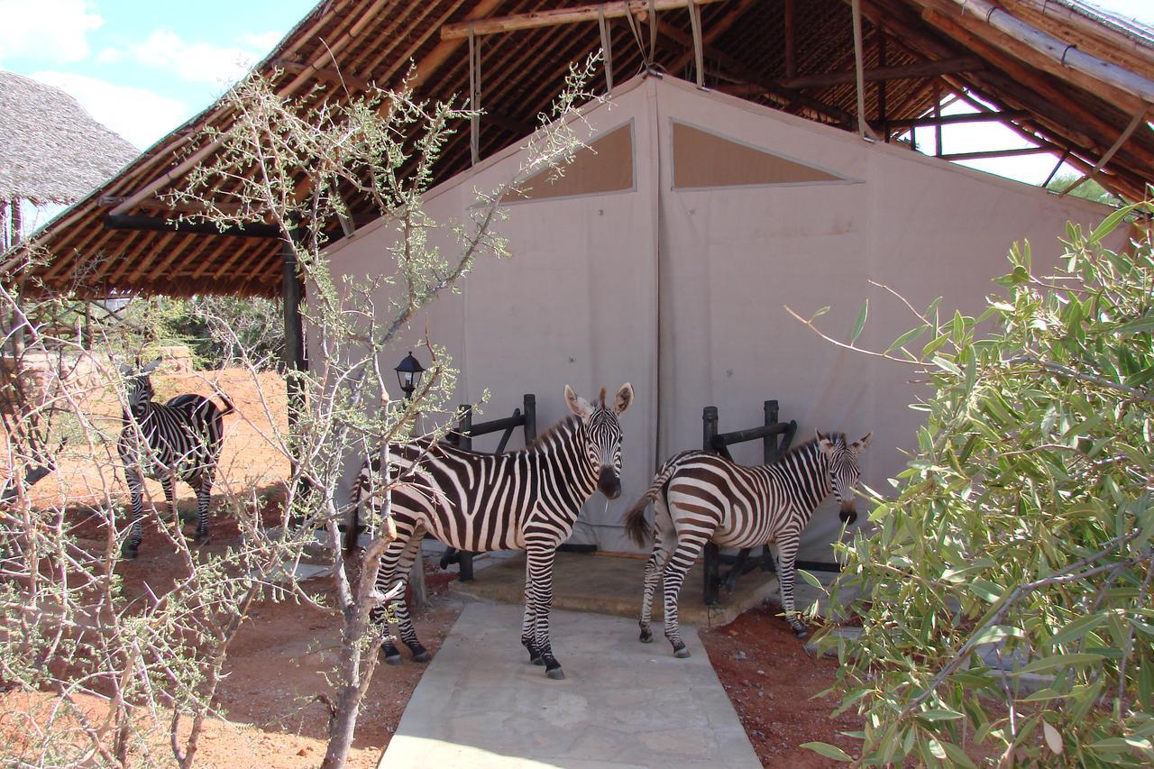 Villa Maneaters Tsavo Exterior foto